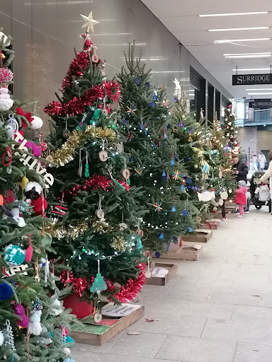 Princesshay - Visual