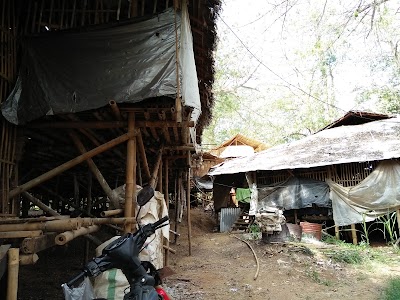 Photos of GW Farm