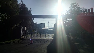 Photos of Taman Pinus Residence
