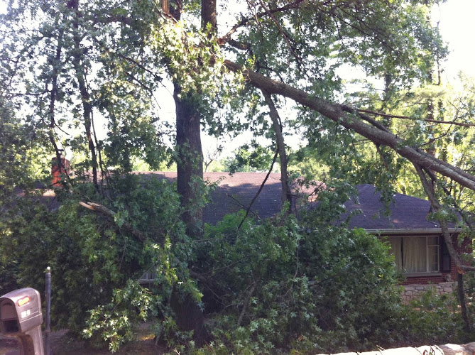 Cragg & Son Tree Company LLC