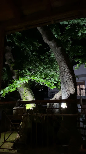 Ξενώνας Πλάτων Guesthouse Platon