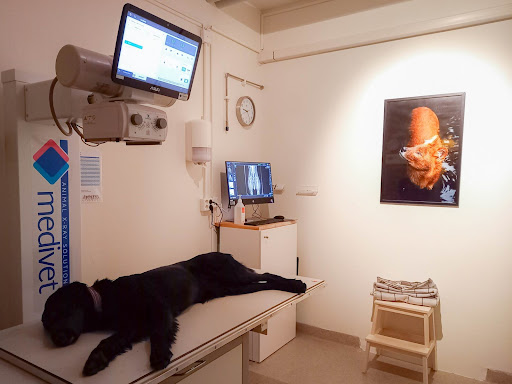 Stångebro Djurklinik - Thumbnail