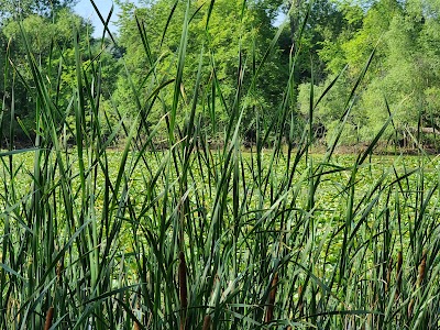 Oak Shores Park