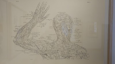 Photos of Museo de Artes y Tradiciones Populares