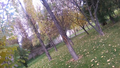 Photos of Kambiz Park