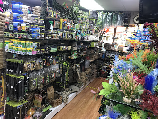 The Pet Centre Newquay - Thumbnail