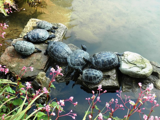 Giardino Botanico - Fondazione Heller