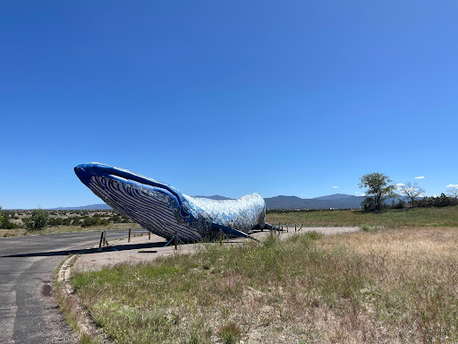 Ethyl the Whale - Thumbnail