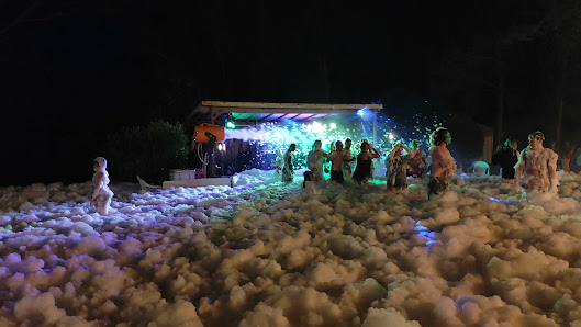 Imagen de la galería