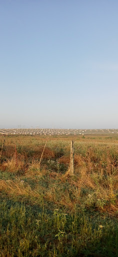 Cattlemen 1 Solar Park - Thumbnail