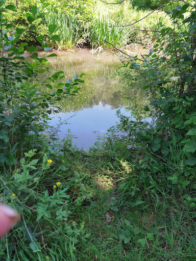 Parc de la Boivre - Thumbnail