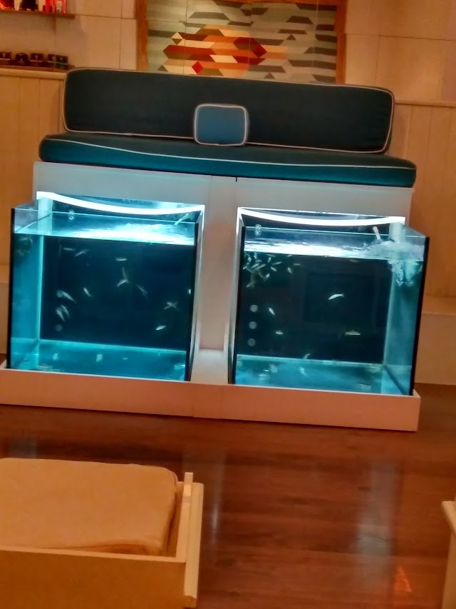 AquaBliss Fish Spa