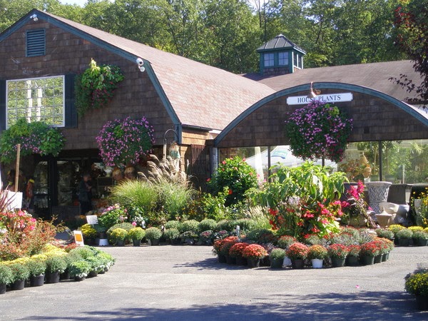 Hollandia Gift & Garden