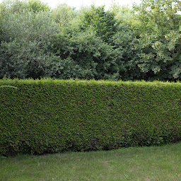 Photo n°6 de Blondet Jardin Services à Magnac-Laval (Paysagiste)