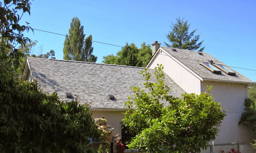 Top Pair Roofing Inc - Thumbnail