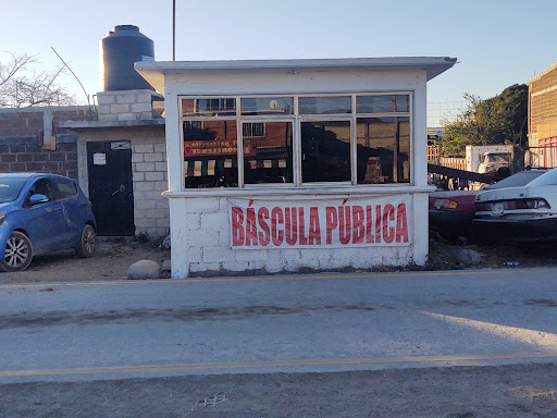 Bascula Amayuca - Visual