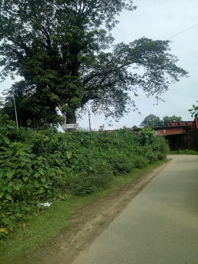 Photos of Manu Railway Station