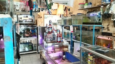 Photos of Sinar Eka Aquarium