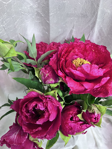 Campos Floristas - Thumbnail