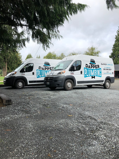 Dapper Plumbing, Heating, and Electrical - United States