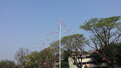 university