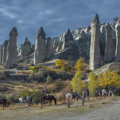 Akhal Teke Horse Center: Horse Riding Cappadocia