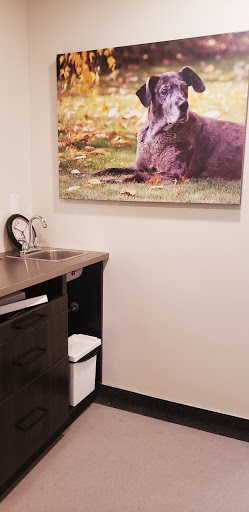 Olds Pioneer Veterinary Services - Thumbnail