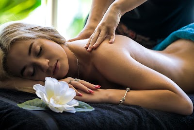 Cedar Massage: Deep Tissue or Swedish, Shiatsu or Prenatal, Hot Stone or Couples & Sports Massage