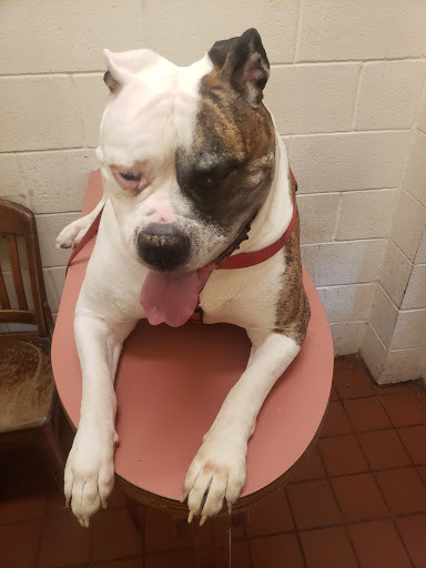Baldwin & Crosstown Animal Clinic - Thumbnail