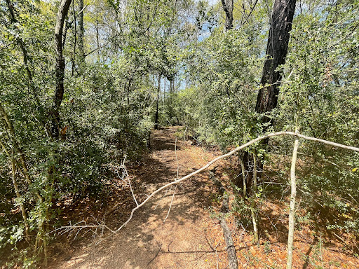 Exploration Trails - Visual