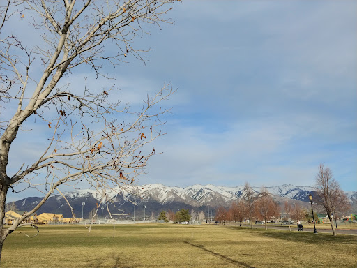 Ellison Park - Visual