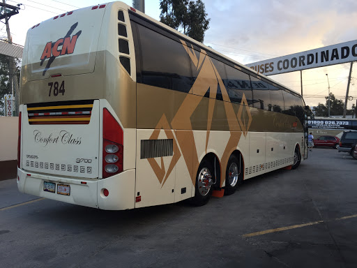 ACN Autobuses USA
