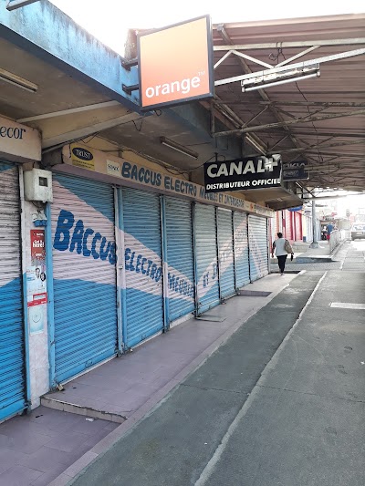 Photos of Magasin Baccus