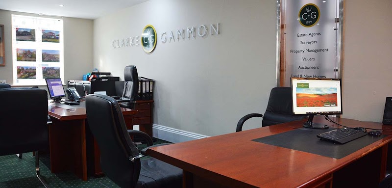 Clarke Gammon photo 3