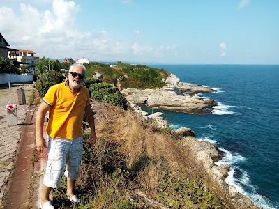 Photos of Danube Surf House and Academy