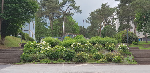 City School Brocéliande