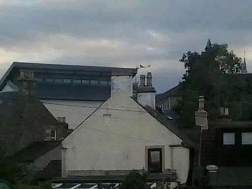 Tayport Primary School - Thumbnail