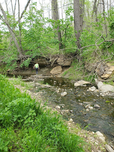 Bluffwoods Conservation Area - Thumbnail
