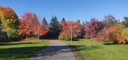 Calzavara Park - Thumbnail