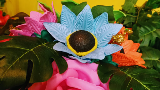 Termoflores - Visual