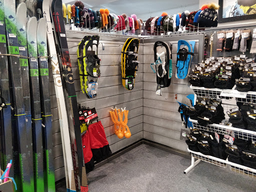 Ray's Ski Shop - Visual