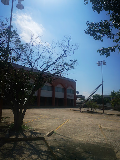 Rialfer - Visual