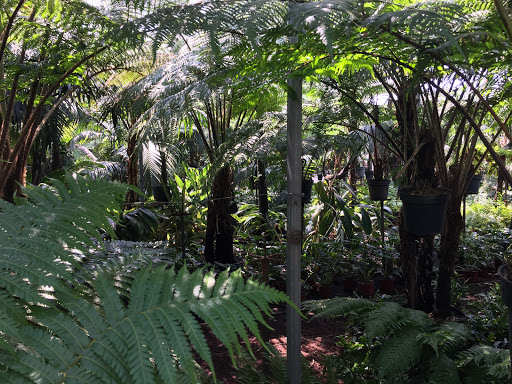 jardin-es arte al natural nextipac - Thumbnail