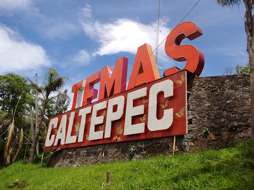 Letras Temascaltepec - Visual