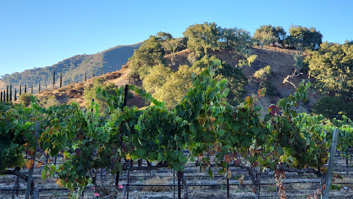 Vega Vineyard and Farm - Thumbnail