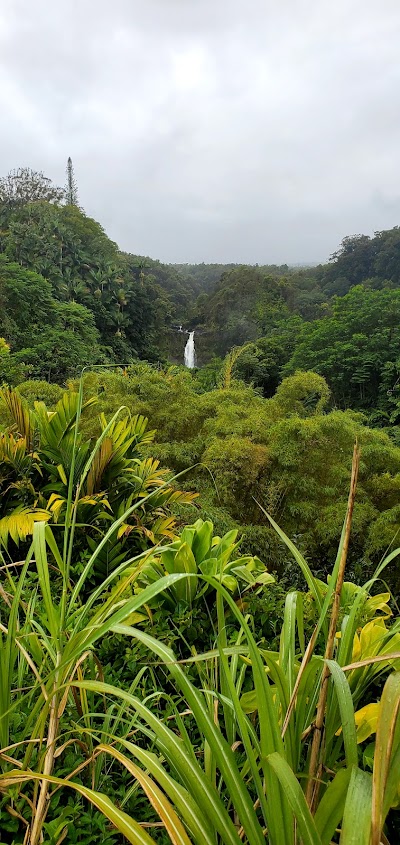 Akaka Falls State Park