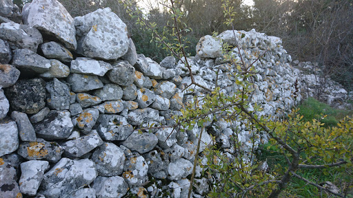Bosco Del Trullo Di Sopra - Thumbnail