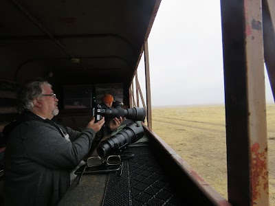 Prairie Chicken Dance Tours