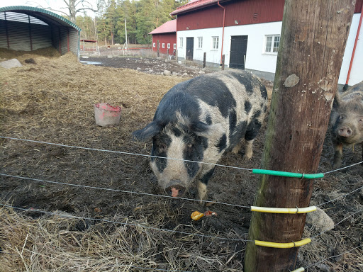 Nysveds Gård