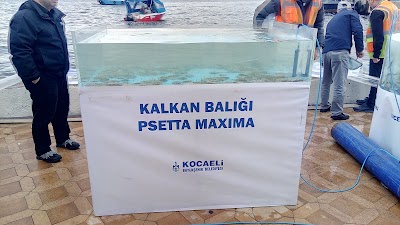 Photos of Tuna Akvaryum - Akvaryum imalatı